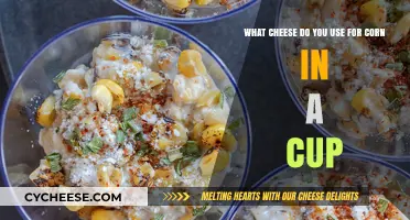 Cheese Options for Corn in a Cup