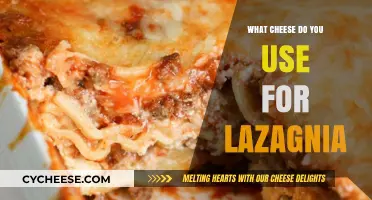 The Best Cheeses for a Delicious Lasagna