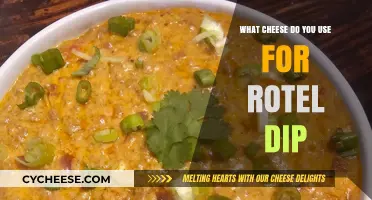 Cheese Options for Rotel Dip: A Quick Guide