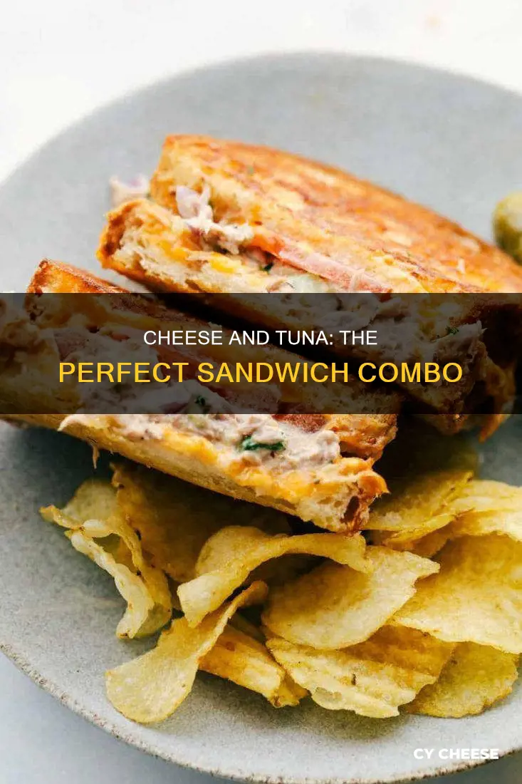 what cheese do you use for tuna sandwiches