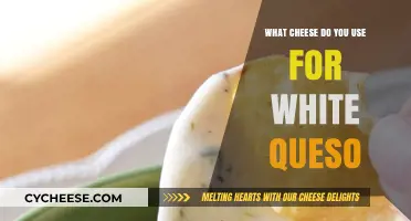 Best Cheeses for White Queso: A Quick Guide