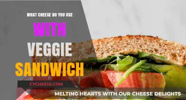 Cheese and Veggie Sandwich: The Perfect Pairing