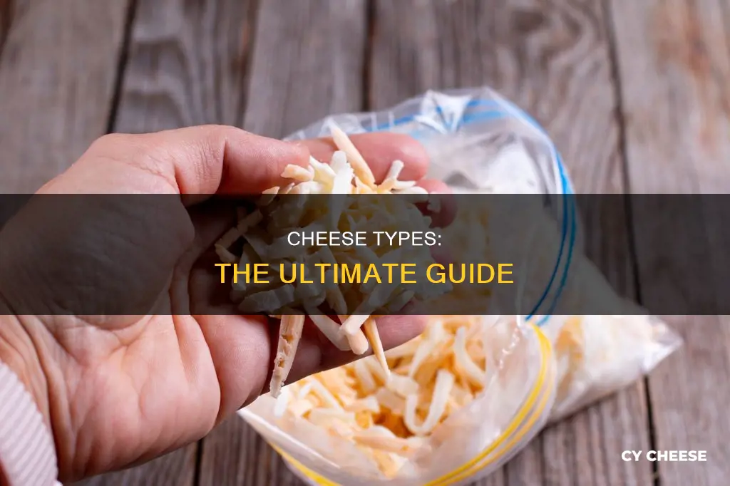 what cheese do you use