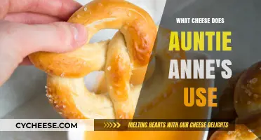 Auntie Anne's Cheese: The Secret Behind the Taste