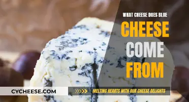 The Evolution of Blue Cheese: A Cheese Odyssey