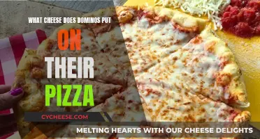 Domino's Pizza Cheese: What's Their Secret Sauce?