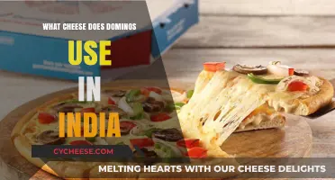 Domino's Cheese Choice in India