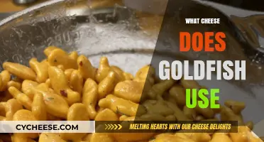 Goldfish Cheese: What's Inside?