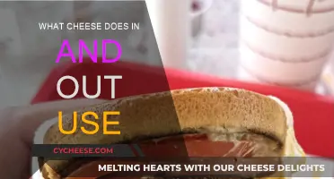 In-N-Out's Cheesy Secret: What's in Their Burgers?