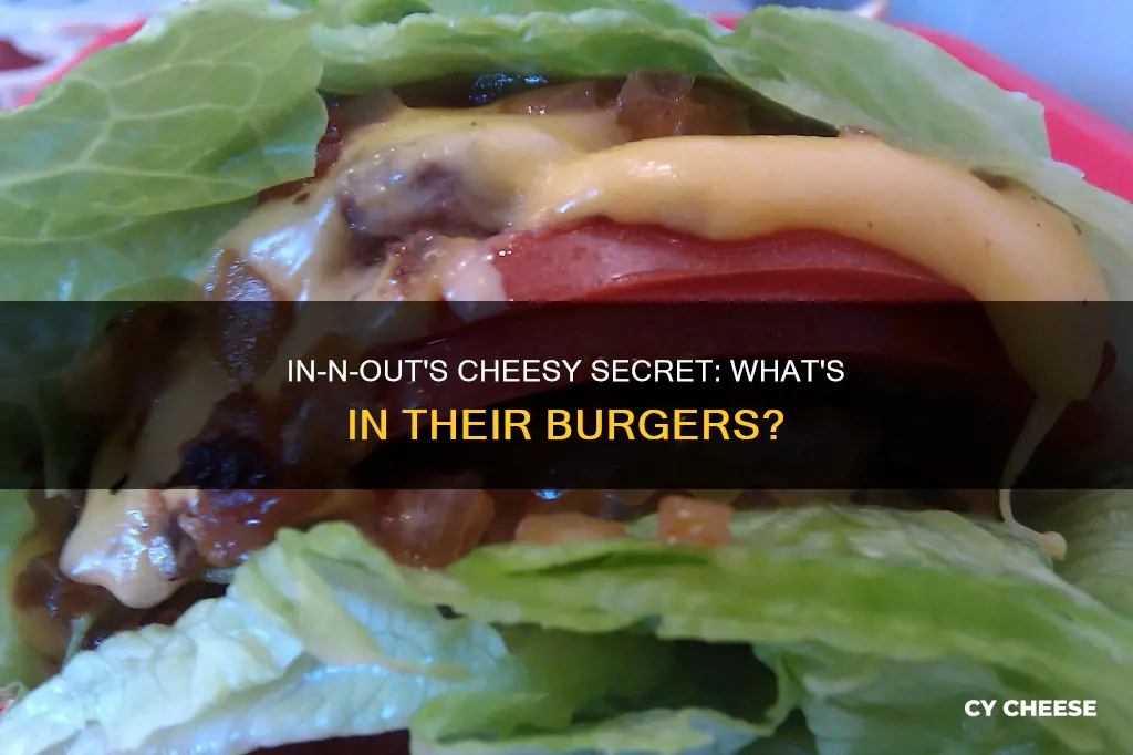 what cheese does in and out use