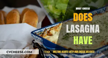 Discover the Perfect Cheese Blend for Classic Lasagna Recipes