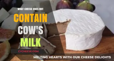Dairy-Free Cheese Options: Exploring Cow's Milk Alternatives for Cheese Lovers