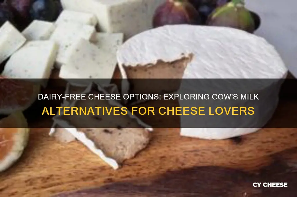 what cheese does not contain cow