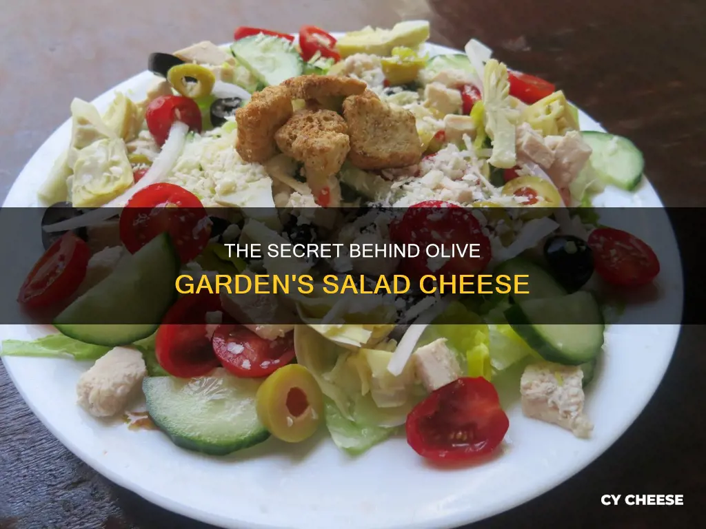 what cheese does olive garden use on their salad