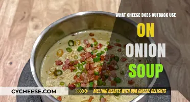 Outback's Onion Soup: What's the Cheesy Secret?