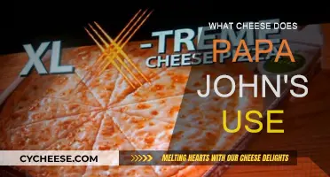 Papa John's Cheese: What's the Secret?