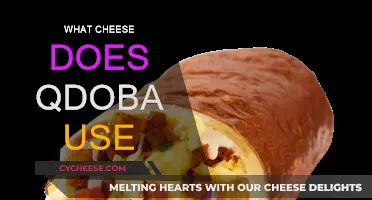 Cheese Pull: Qdoba's Signature Cheeses