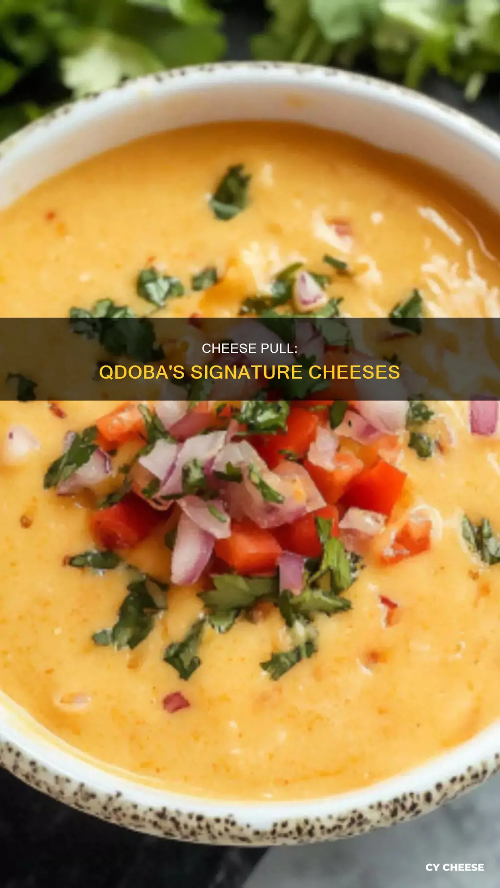 what cheese does qdoba use