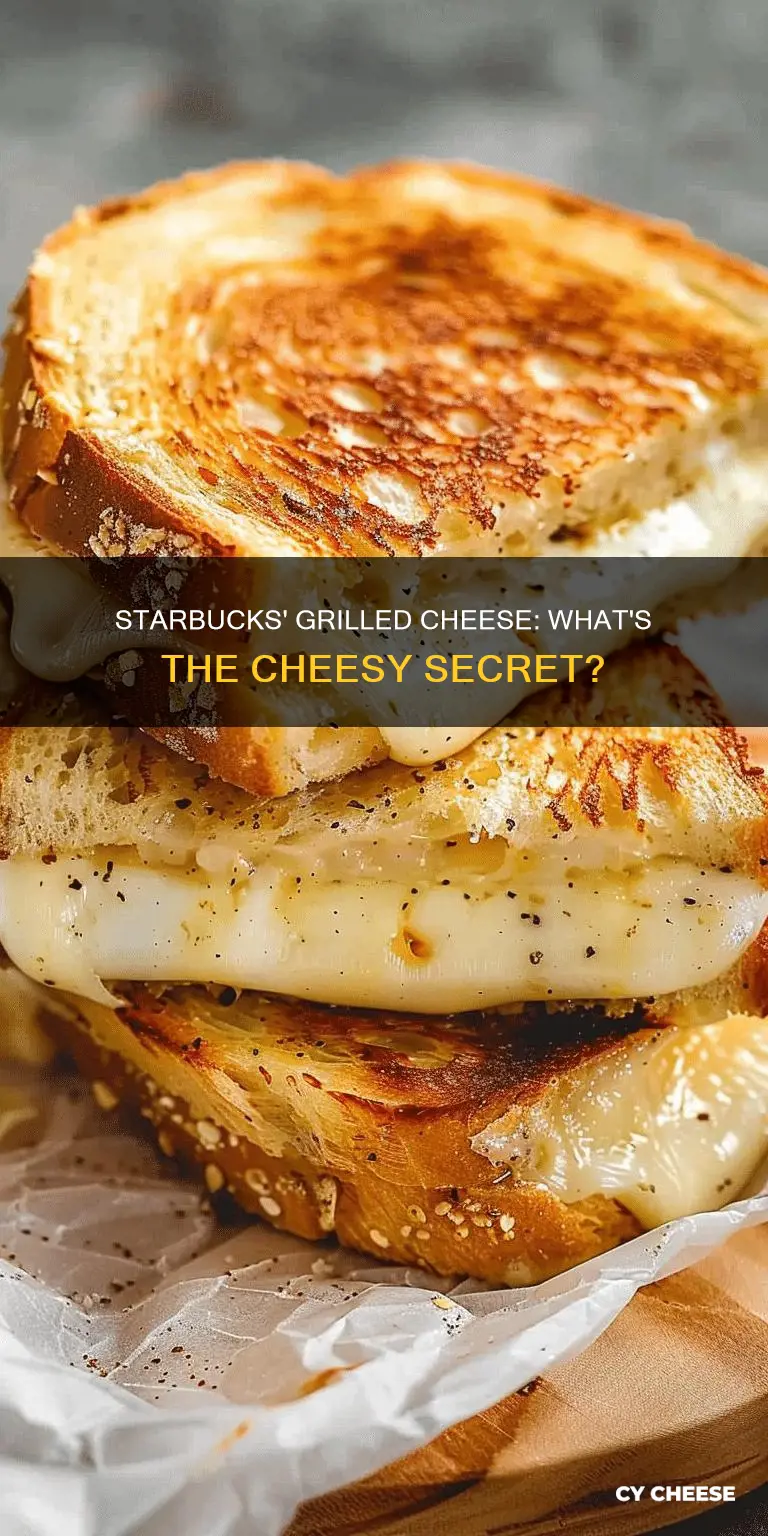 what cheese does starbucks use for grilled cheese
