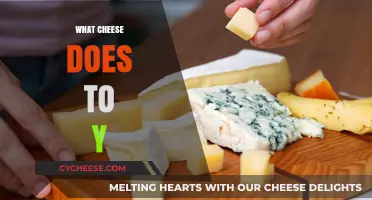 What Cheese Does to Your Body: Surprising Health Impacts Revealed