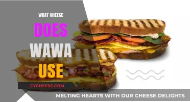 Wawa's Cheese Choice: The Inside Scoop
