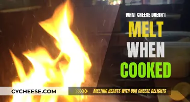 Cheese that Refuses to Melt: The Unmeltable Cheese