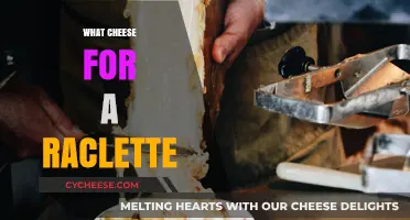 Perfect Raclette Cheese Guide: Top Picks for Melty, Gooey Bliss