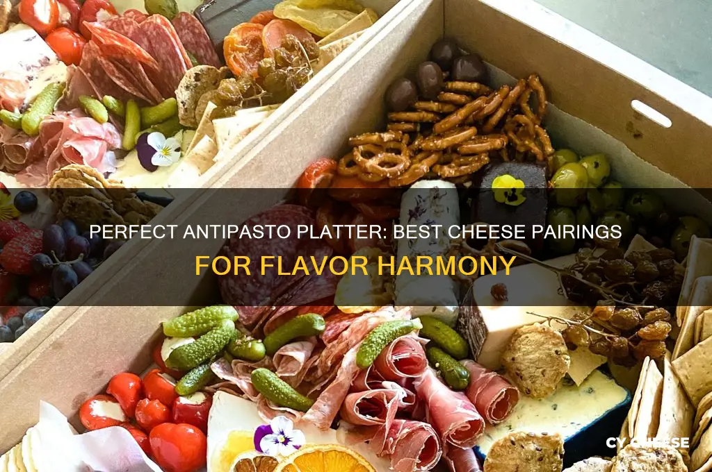 what cheese for antipasto platter
