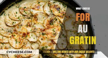 Perfect Cheese Choices for Creamy, Crispy Au Gratin Dishes