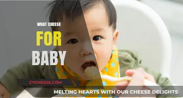 Safe and Nutritious Cheese Options for Your Baby's Diet