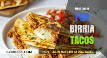 Perfect Cheese Pairings for Birria Tacos: Elevate Your Taco Game