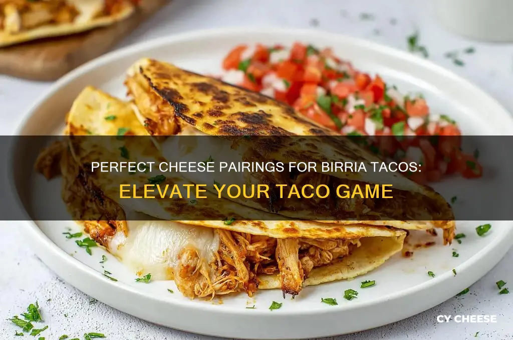 what cheese for birria tacos