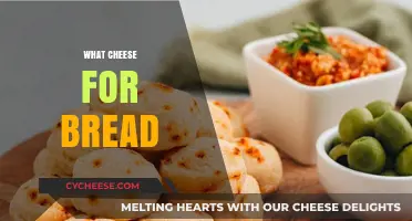 Perfect Pairings: Best Cheeses to Elevate Your Bread Experience
