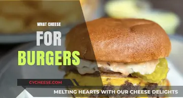 Best Cheeses for Burgers: Elevate Your Patty with Perfect Pairings