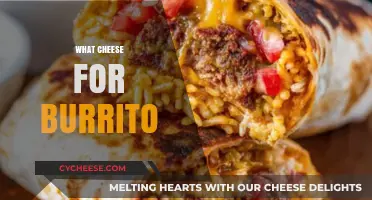 Best Cheese for Burritos: Top Melty, Flavorful Options to Try