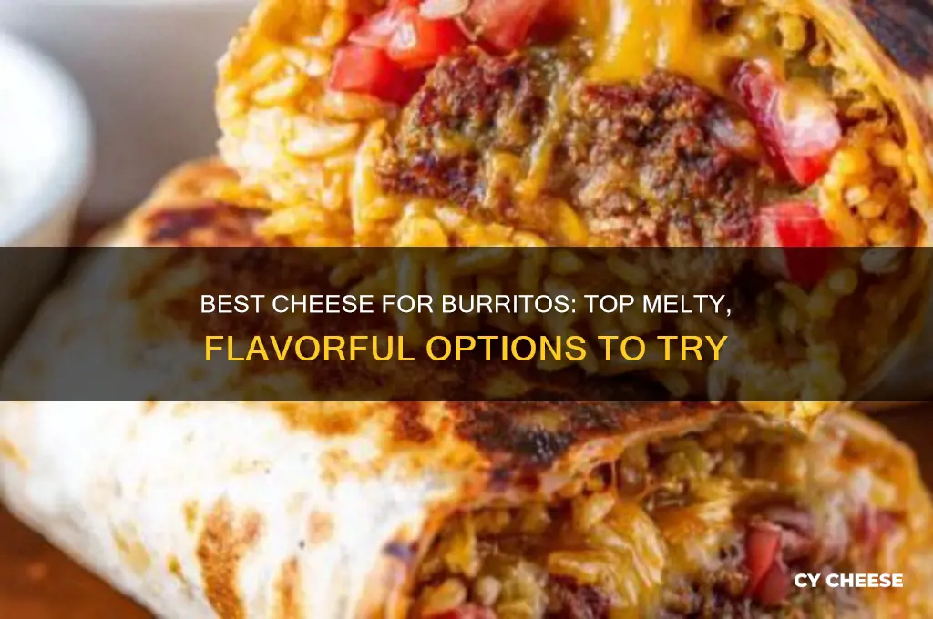 what cheese for burrito
