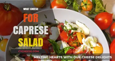 Perfect Caprese Salad: Best Cheese Choices for Fresh, Flavorful Bliss