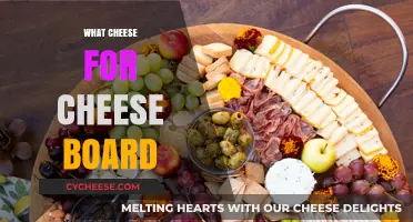 Perfect Cheese Board: Top Cheese Varieties for Every Occasion