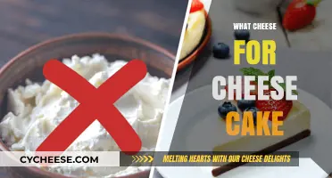 Perfect Cheese for Cheesecake: Top Cream Cheese Alternatives Explained
