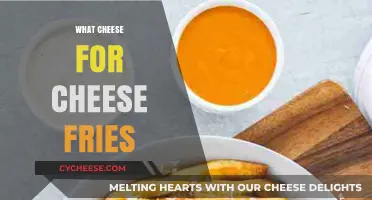Perfect Cheese Fries: Top Cheese Choices for Ultimate Melty Goodness