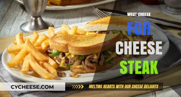 Perfect Cheese Steak: Best Cheese Choices for Ultimate Philly Flavor