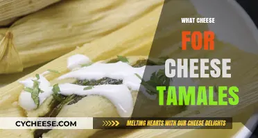 Perfect Cheese Tamales: Best Cheeses for Flavor and Texture