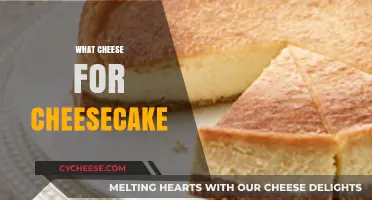 Perfect Cheesecake Cheese: Cream Cheese vs. Ricotta, Mascarpone, or Others?