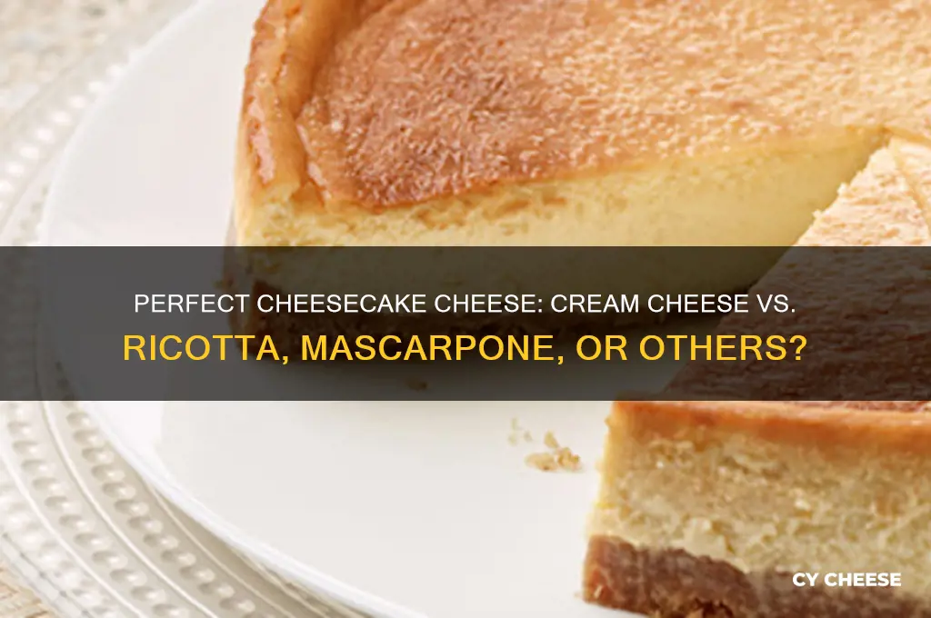 what cheese for cheesecake