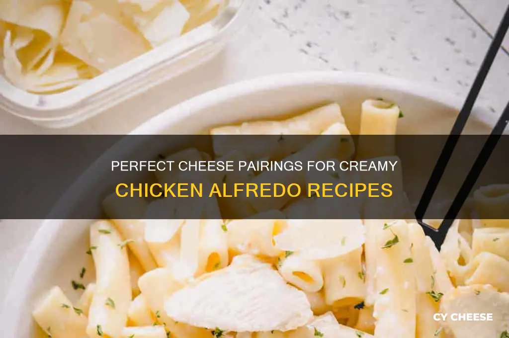 what cheese for chicken alfredo