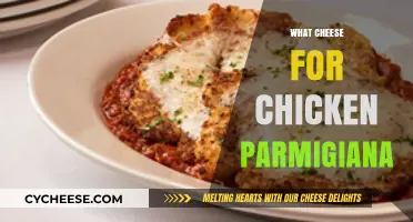 Perfect Cheese Pairings for Your Ultimate Chicken Parmigiana Recipe