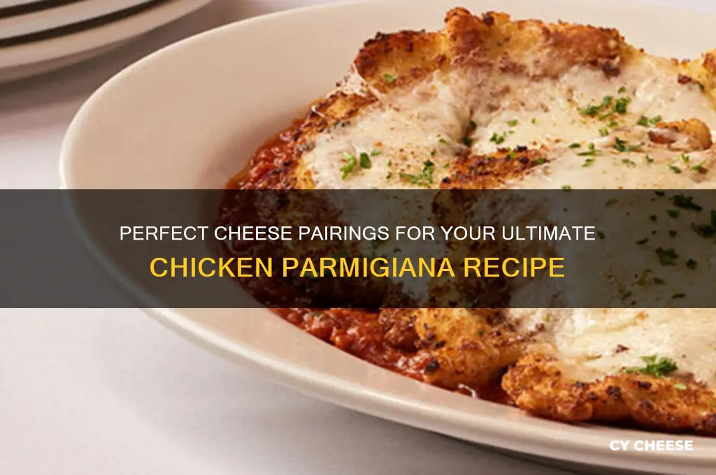 what cheese for chicken parmigiana