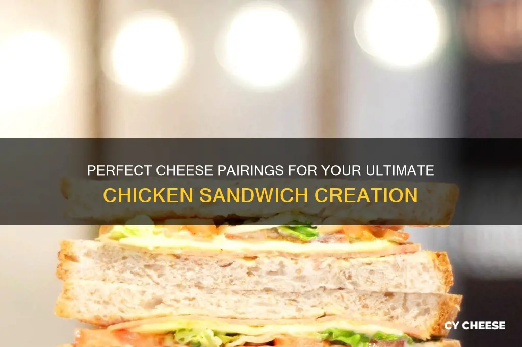 what cheese for chicken sandwich