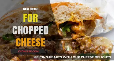 Perfect Cheese Pairings for the Ultimate Chopped Cheese Sandwich