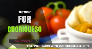 Perfect Cheese Pairings for Choriqueso: A Flavorful Mexican Delight